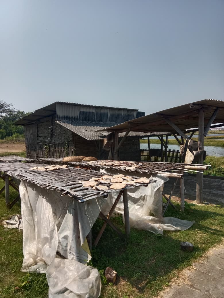Produksi Ikan Asin