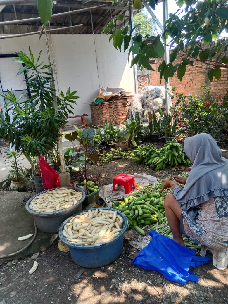 Produksi Keripik Pisang