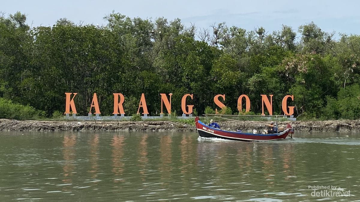 Hutan Mangrove